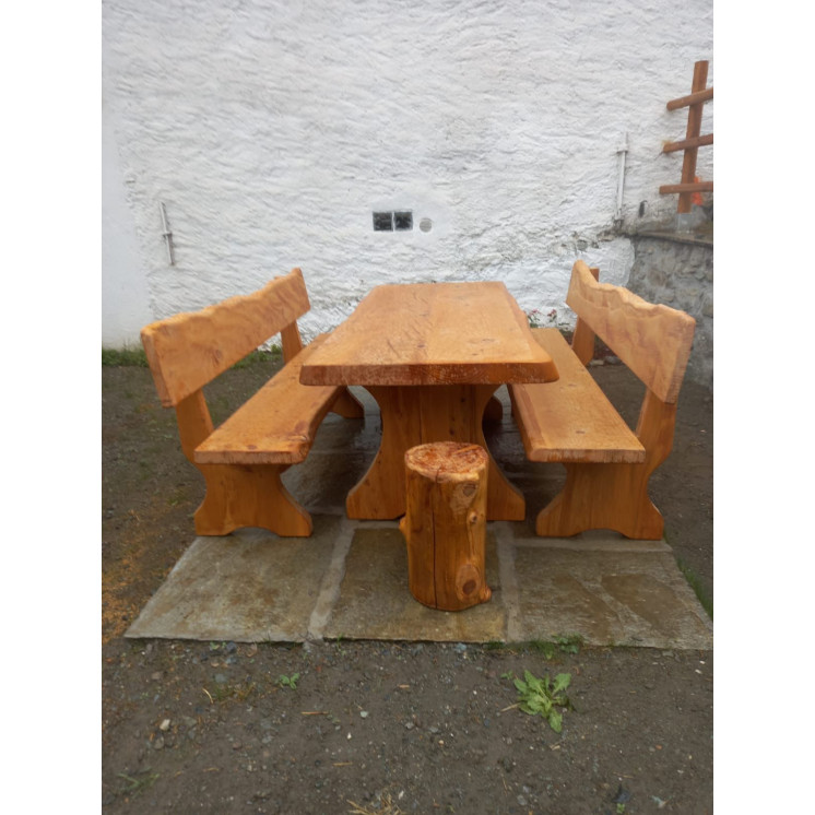 Wooden table and benches with backrest